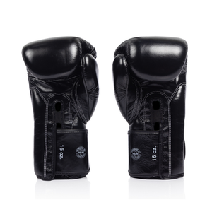 Fairtex Titan Boxing Gloves BGV-XL