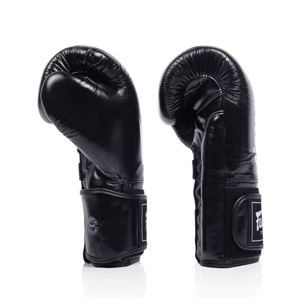Fairtex Titan Boxing Gloves BGV-XL