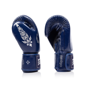 Fairtex x Lumpinee Stadium Boxing Gloves BGV-Lumpinee03