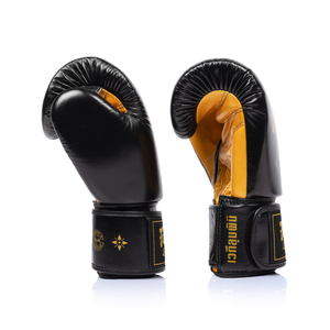Fairtex x Lumpinee Stadium Boxing Gloves BGV-Lumpinee04