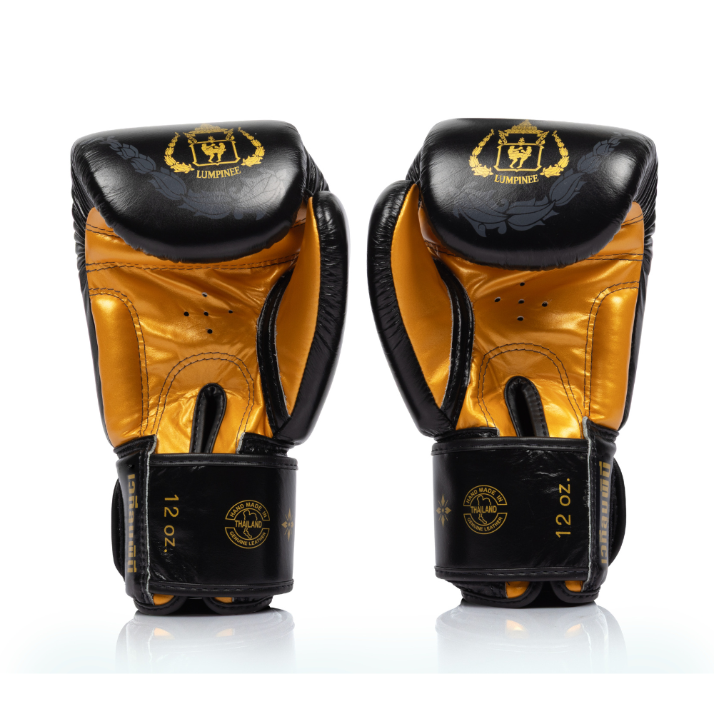 Fairtex x Lumpinee Stadium Boxing Gloves BGV-Lumpinee04