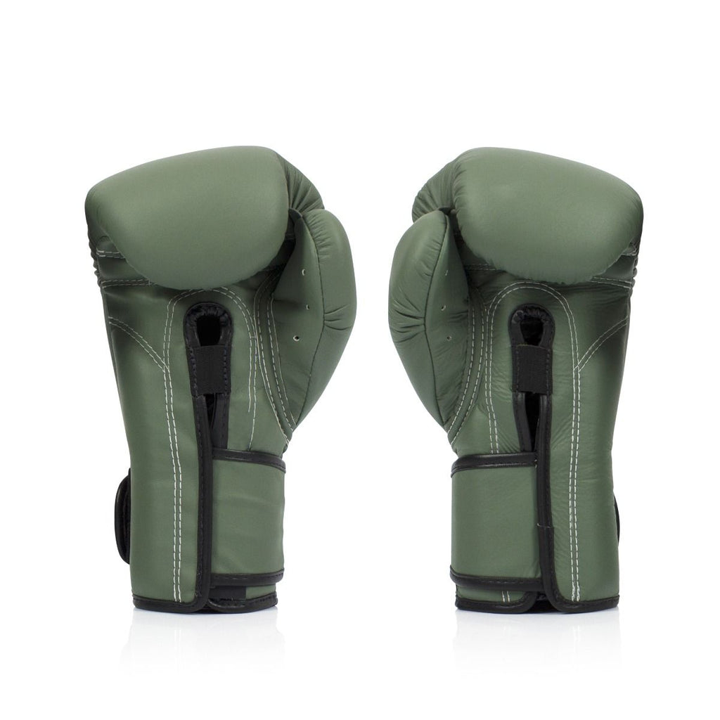 Fairtex F-DAY Boxing Gloves BGV11