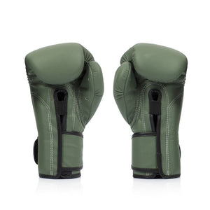 Fairtex F-DAY Boxing Gloves BGV11
