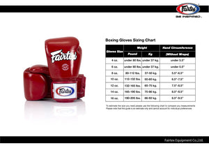 Fairtex x ONE Championship Boxing Gloves BGV1