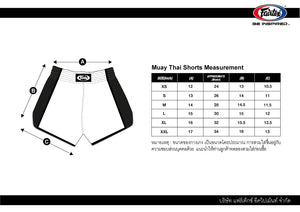 Fairtex Muay Thai Shorts Stealth Gray BS1902