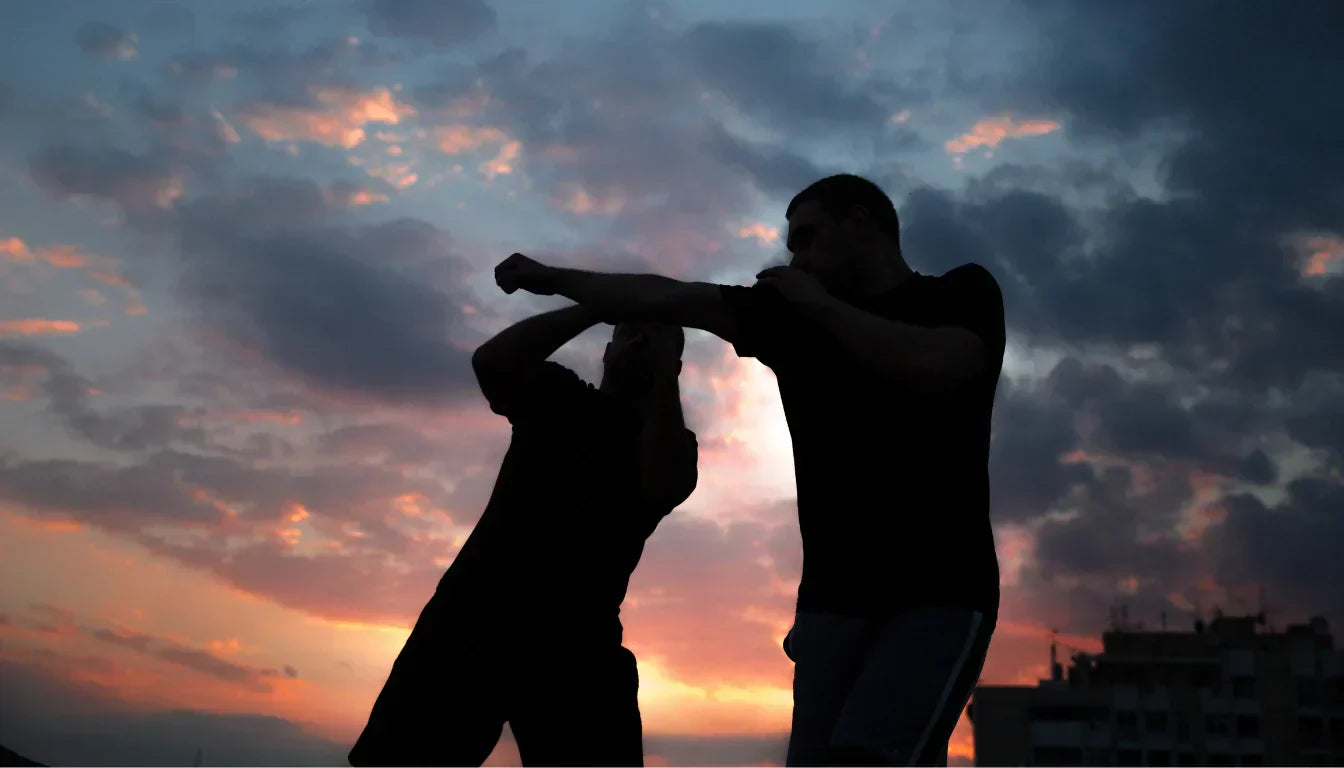 muay thai vs. krav maga