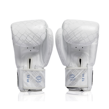 Fairtex x BEAST Official Movie Boxing Gloves