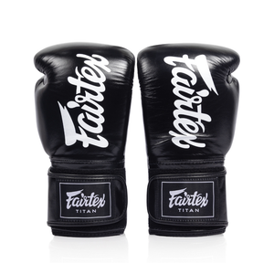 Fairtex Titan Boxing Gloves BGV-XL