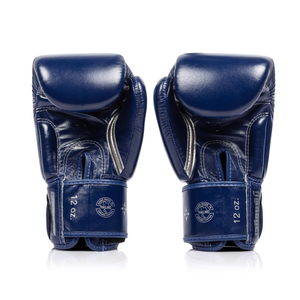 Fairtex x Lumpinee Stadium Boxing Gloves BGV-Lumpinee03