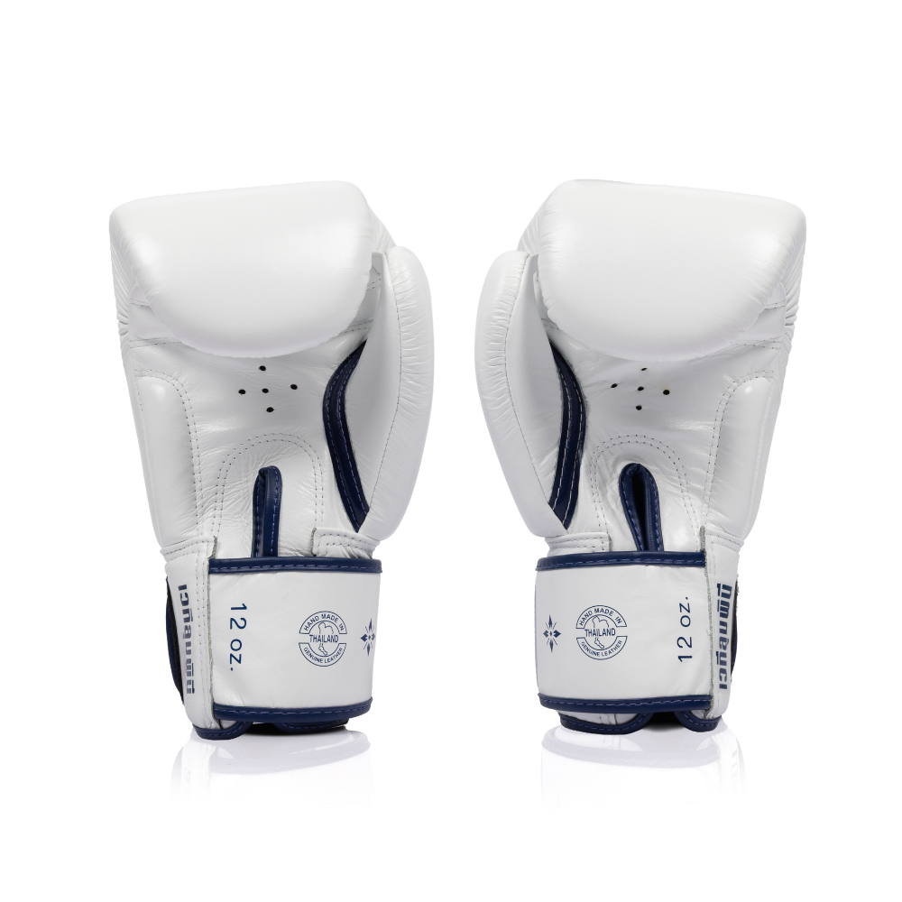 Fairtex x Lumpinee Stadium Boxing Gloves BGV-Lumpinee03