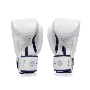 Fairtex x Lumpinee Stadium Boxing Gloves BGV-Lumpinee03