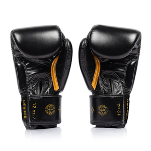 Fairtex x Lumpinee Stadium Boxing Gloves BGV-Lumpinee03