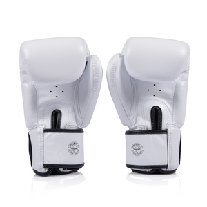 Fairtex BGV1C-PLUS Boxing Gloves