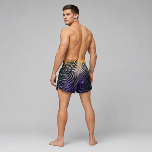 Fairtex Muay Thai Shorts Dusk BS1942