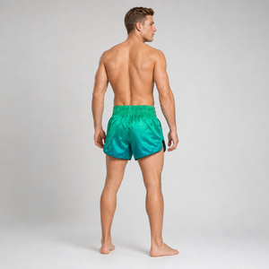 Fairtex Muay Thai Shorts Quantum BS1953