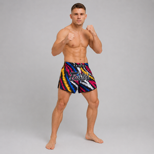 Fairtex Muay Thai Shorts Colorful Vertical BS1956