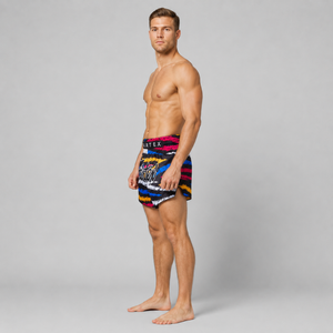 Fairtex Muay Thai Shorts Colorful Horizontal BS1957