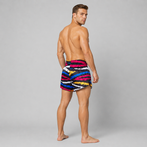 Fairtex Muay Thai Shorts Colorful Horizontal BS1957