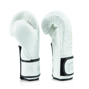 Fairtex x Glory Kickboxing Gloves BGVG3 - 2023 Edition