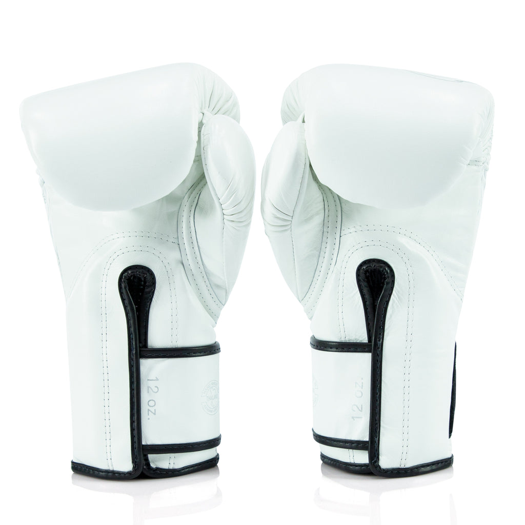 Fairtex x Glory Kickboxing Gloves BGVG3 - 2023 Edition