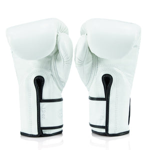 Fairtex x Glory Kickboxing Gloves BGVG3 - 2023 Edition