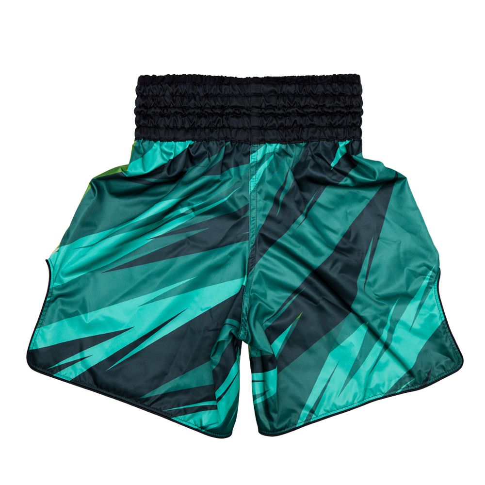 Fairtex Boxing Trunks Two-Tone BT2007