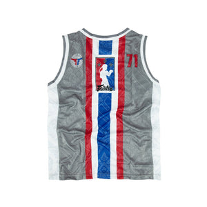 Fairtex Polyester Jersey - JS19